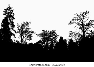 4,947 Bare tree line drawing Images, Stock Photos & Vectors | Shutterstock