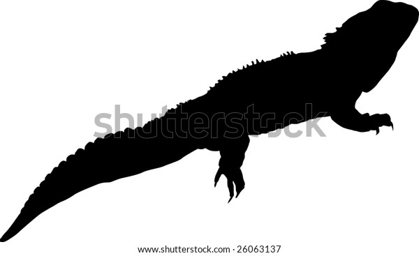 Silhouette Tuatara Iguana のイラスト素材