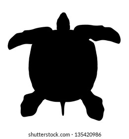 Silhouette of a Turtle Computer generated 3D illustration