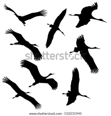 Similar – Image, Stock Photo Stork in flight Animal