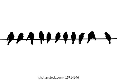 siluetas de las aves sentadas en alambre eléctrico