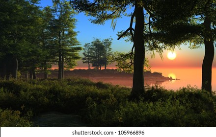 Silhouettes of trees at sunset.