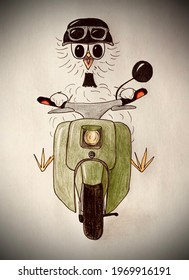 Silkie Showgirl Chicken Drives A Moped