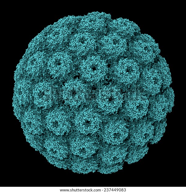 Simian virus 40 (SV40)