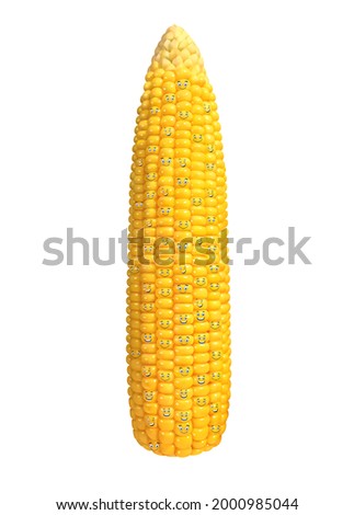similes corn illustration. smile corn with white background.