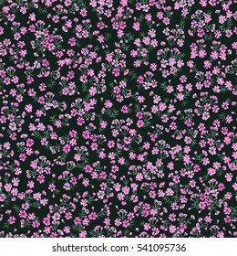 Simple cute pattern in small-scale flowers. Millefleurs. Liberty style. Floral seamless background for textile or book covers, manufacturing, wallpapers, print, gift wrap and scrapbooking. Raster copy