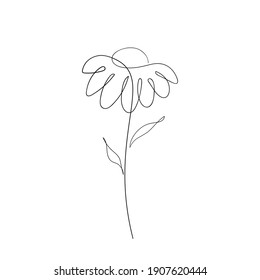 Simple Daisy Flower Line Art Drawing. Chamomile Abstract Minimal Illustration