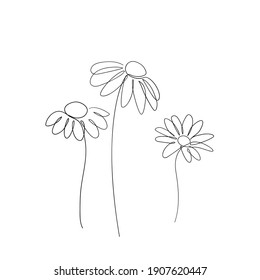 Simple Daisy Flower Line Art Drawing. Chamomile Abstract Minimal Illustration