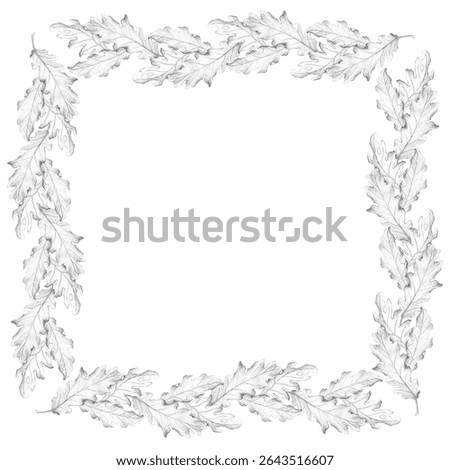 A simple frame with oak leaves on a white background. The drawing is done in pencil by hand. Monochrome. Oak, foliage, botany, medicine, oak bark, oak acorn. Template, composition for design.