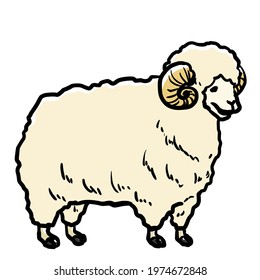 Simple And Realistic Sheep Illustration