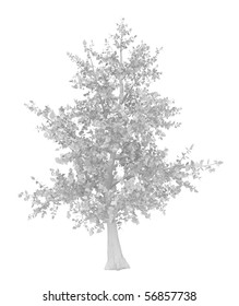 Simple Tree 3d Model, Over White, Isolated