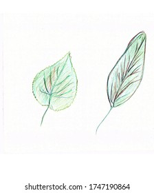 Simple tree leafs white
