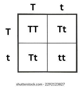 Simple version of the Punnett Square, Sometimes spelled as the Punnet Square. Useful for high school biology.