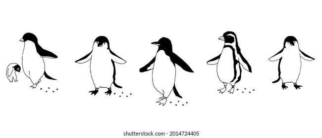 ペンギン 足跡 の画像 写真素材 ベクター画像 Shutterstock