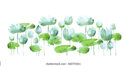 simple water lotus blooming flowers. watercolor hand drawn illustration.