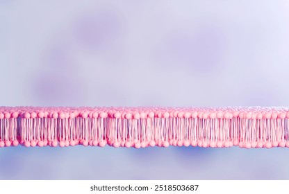 Simulated image of cell membrane, a component of cell wall proteins. Glycoprotein and Glycolipid cholestorol, Peripheral Protein and Lipid Bilayer. 3D Rendering.