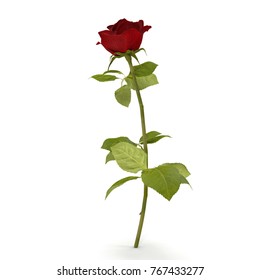 Single beautiful red rose isolated on white. 3D illustration