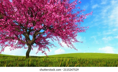 Single Blooming Japanese Sakura Cherry Tree With Pink Flower Petals Falling Against Blue Sky Background On Green Grass Field At Springtime. With No People 3D Illustration From My 3D Rendering.