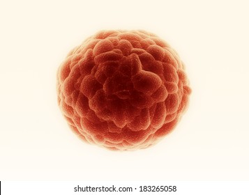 Single Cancer Cell 