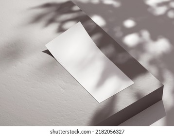 Single DL Flyer Mockup Blank Paper With Leaf Shadows For Design Presentation. White Empty Pamphlet Template On A Concrete Background In 3D Illustration