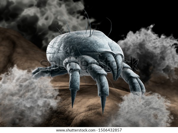 Single dust mite with dust particles on skin\
surface - 3D\
illustration