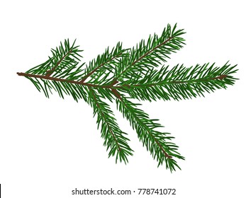 Fir Tree Branch Isolated On White Stock Photo (Edit Now) 19034914