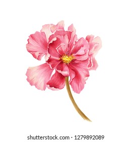 Single Flower. Floral Greeting Card. Watercolor Pink Flower For Wedding Invitation Decor. 