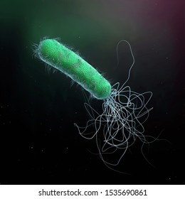 812 Pseudomonas aeruginosa Images, Stock Photos & Vectors | Shutterstock