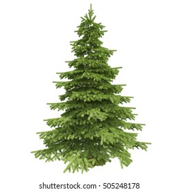 Single Pine Tree Isolated On White Background. 3D Illustration. High Quality