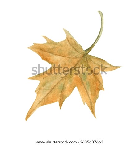 Single red orange maple leaf watercolor illustration on isolated illustration. Hand painted autumn falling leaves. Floral fall forest element for seasonal designs, decor, greeting cards.