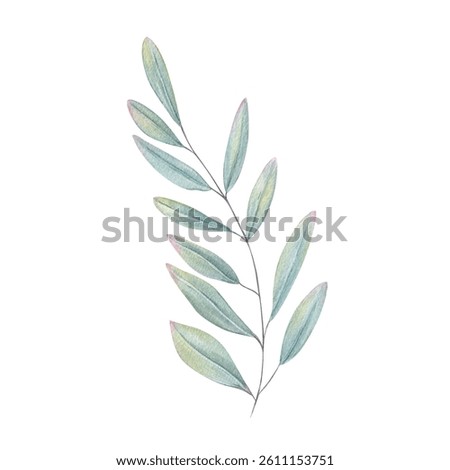Single sprig with eucalyptus like leaves in mint green and seafoam tones watercolor illustration isolated background. Hand painted plant branch for spa branding, interior decor, organic beauty.