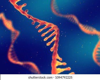 Single Strand Ribonucleic Acid, RNA Research And Therapy, 3d Illustration
