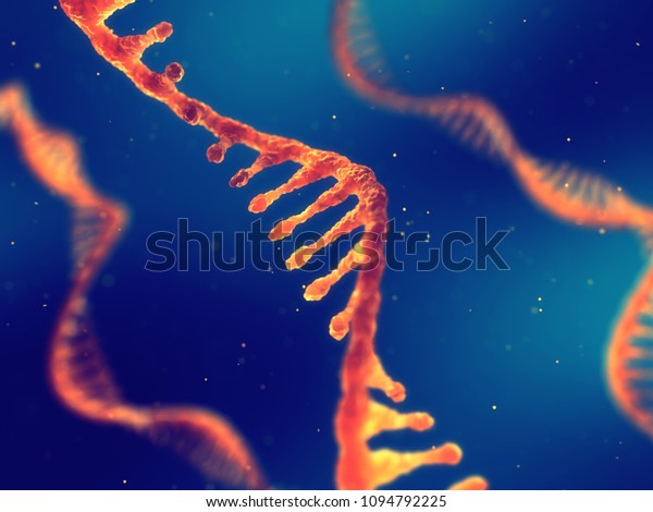 Single strand ribonucleic acid, RNA research\
and therapy, 3d\
illustration