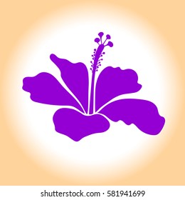Single violet and beige hibiscus hawaiian tropical flower icon. Isolated hibiscus flower.