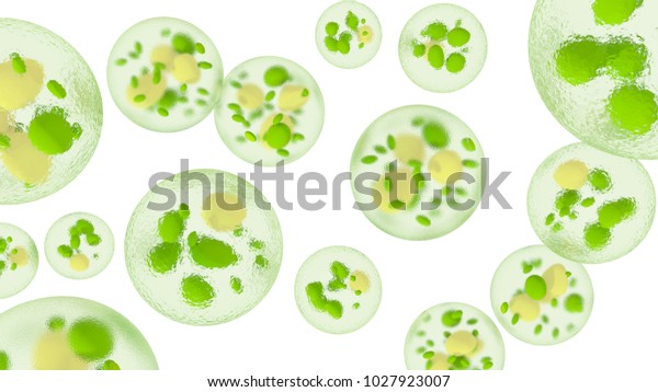 脂質滴を持つ単細胞藻 バイオ燃料の生産 白い背景に顕微鏡下の微細藻類の3dイラスト のイラスト素材