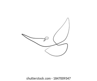 SINGLE-LINE DRAWING OF A DOVE. This hand-drawn, continuous, line illustration is part of a collection artworks inspired by the drawings of Picasso. Each gesture sketch was created by hand. 
