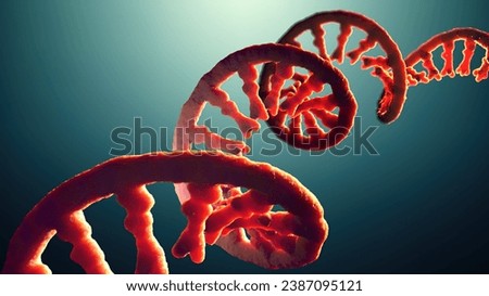 Single-stranded molecule of RNA called messenger ribonucleic acid - 3d illustration