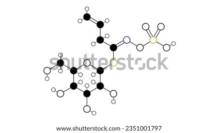 sinigrin molecule, structural chemical formula, ball-and-stick model, isolated image allyl glucosinolate
