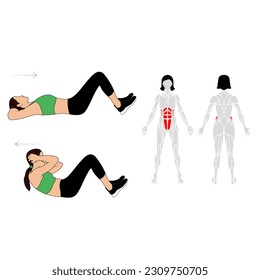 Sit up 2 steps exercise pose illustration shown used muscle