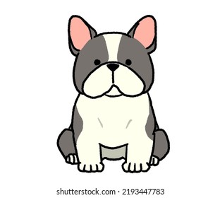 Sitting Black And White French Bulldog