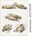 Six dead birds (1803) painting in high resolution by Willem Van Leen. Vintage Six dead birds art illustration, dead animal art, Six dead birds art print.