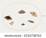 Six Moths, Joris Hoefnagel. The National Gallery of Art. Vintage Six Moths art drawing illustration, old Six Moths painting art print. Insects and moths illustration.