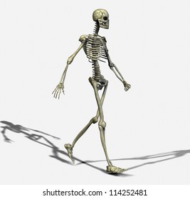 6,438 Skeleton walking Images, Stock Photos & Vectors | Shutterstock