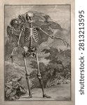 A skeleton, front view, standing with left arm extended, in a pastoral setting Line engraving by J Wandelaar, 1740. Vintage human anatomy art illustration.