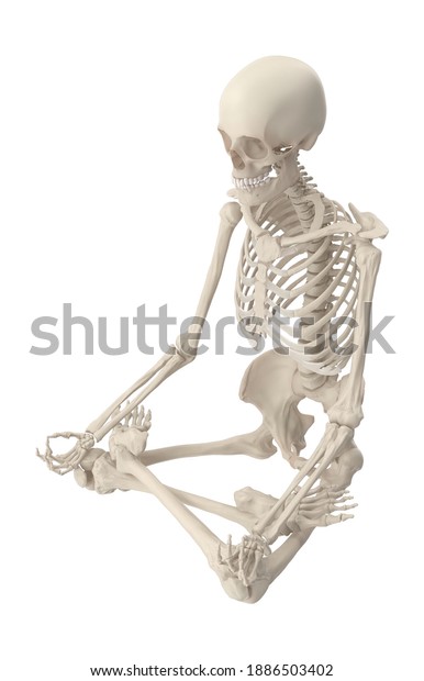 Skeleton Lotus Pose 3d Illustration On Stock Illustration 1886503402 