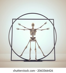 Skeleton In Vitruvian Man Pose On White Background. This Is A 3d Render Illustration