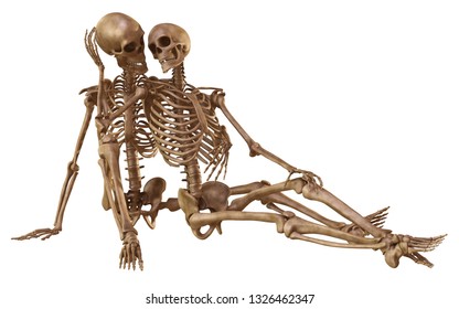 female vs male skeleton