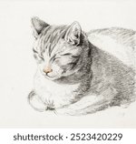 Sketch of a cat (1808) by Jean Bernard (1775-1883). Cat domestic pet illustration. Vintage cute cat pet art drawing illustration, old domestic animal pet painting art print sketch.