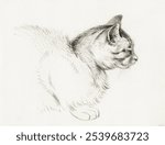 Sketch of a cat (1812) by Jean Bernard (1775-1883). Vintage cat pet domestic animal illustration. Vintage cat animal art drawing illustration, old painting art print of cat pet animal.