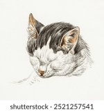 Sketch of a cat (1828) by Jean Bernard (1775-1883). Vintage cat art drawing illustration, old cat sketch, Jean Bernard